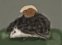 Hedgehog and Snail